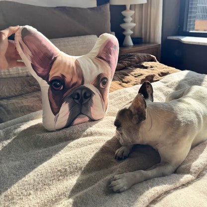 Custom Shaped Pet Portrait Pillows