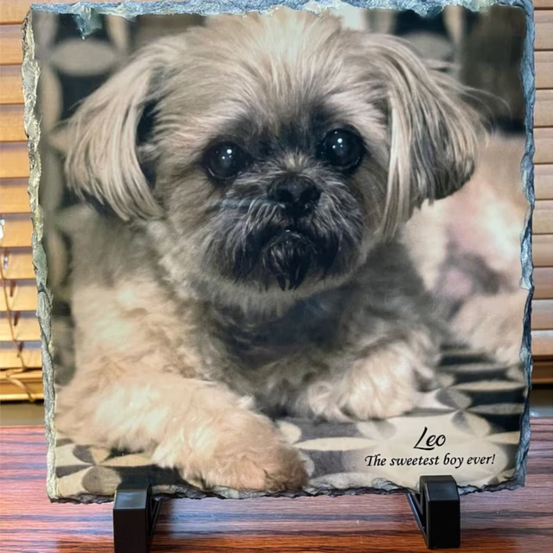Custom Photo Rock Slate: Pet Memorial Gift